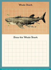 Oceanarium Activity Book - Alwero